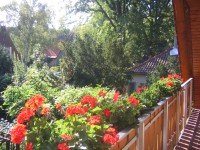 Blick von der Loggia Bild 9: XXL-Apartment - Große sonnige Ferienwohnung Berlin Gatow 70m²