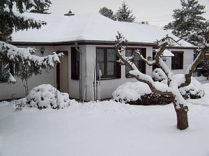 Bild 8: Ferienwohnung in Rahnsdorf, im grünen Südosten von Berlin, Nähe Müggelsee
