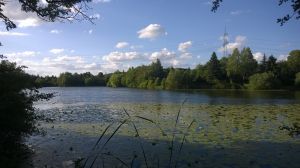 Bild 14: Ferienwohnung - Gästezimmer Wegner