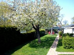 Bild 1: Ferienwohnung - Gästezimmer Wegner