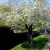 Galeriebild 5