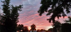 Bild 8: Ferienwohnung - Gästezimmer Wegner