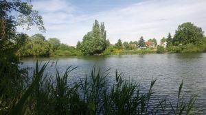 Bild 7: Ferienwohnung - Gästezimmer Wegner