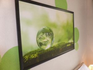 Bild 7: Appartement "Dahlie" City Berlin